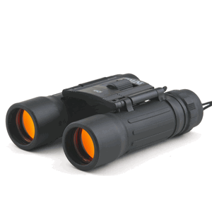 Binoculars - 10 x 25